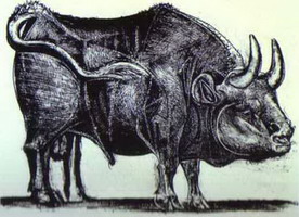 Pablo Picasso. The Bull. State III